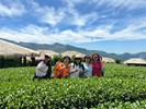 優遊吧斯阿里山鄒族文化部落之茶園拍照