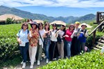 優遊吧斯阿里山鄒族文化部落茶園前合拍