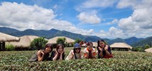優遊吧斯阿里山鄒族文化部落茶園拍美照